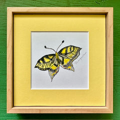 版画 SWALLOWTAIL BUTTERFLY Butterfly Art | 